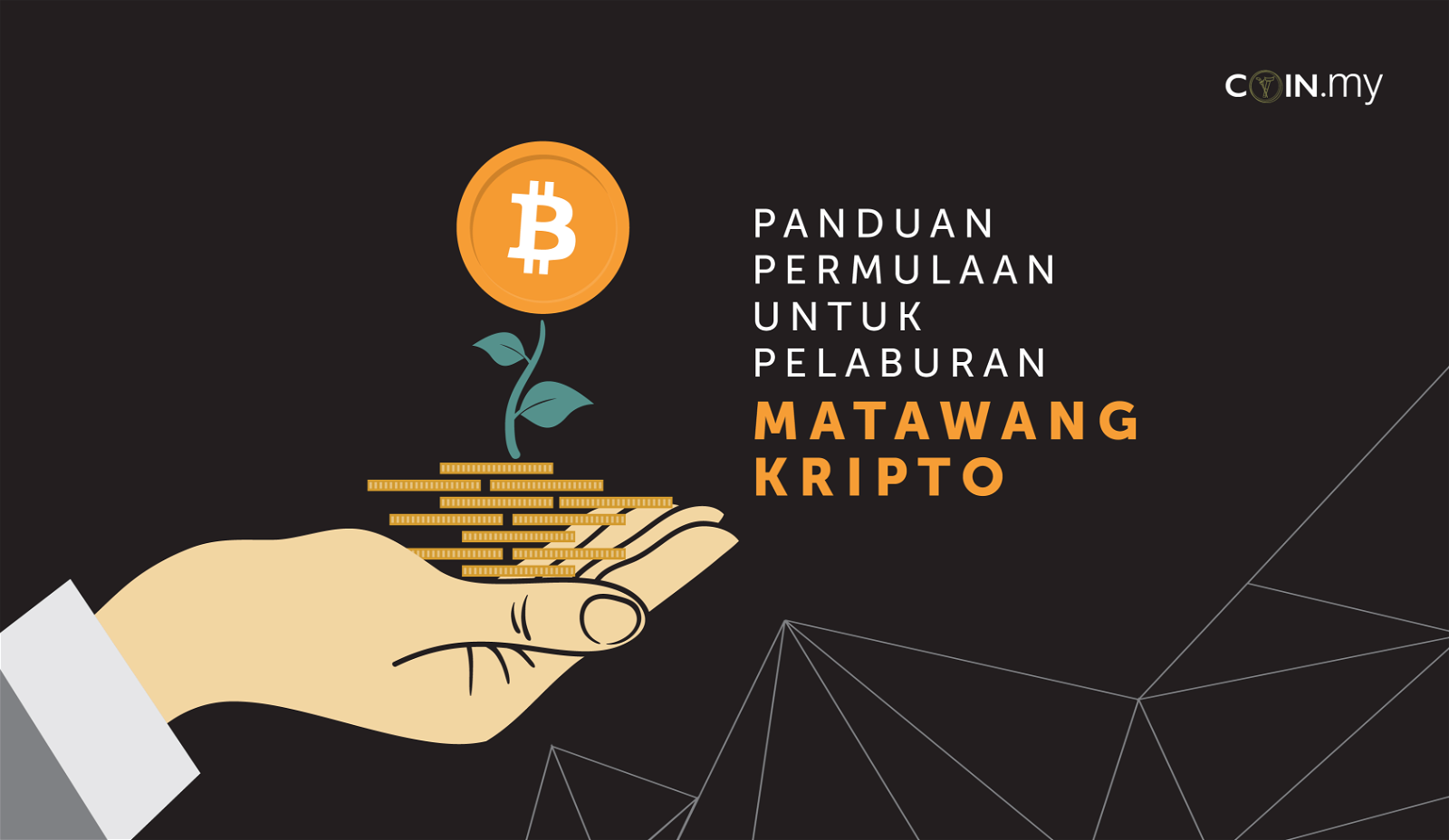 an image for a post on pelaburan matawang crypto